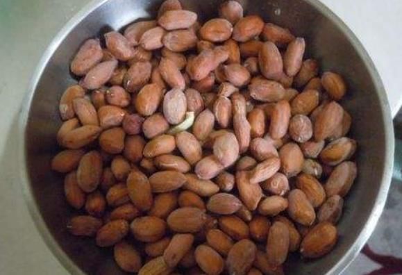 常见的“5粒小丸子”，倒一点在盆里，花卉都喜欢，疯狂长爆盆