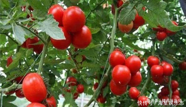 熬夜身体在反抗，坚持吃3种食物，不仅去眼袋，让肌肤充满活力