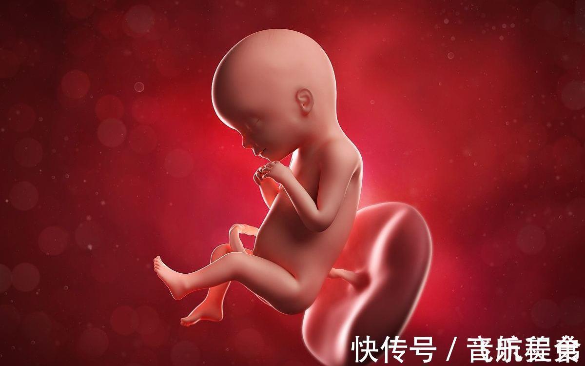 四维彩超|怀“小王子”的宝妈,身上有这4大特征,赶快接好孕吧