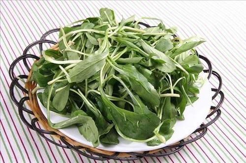 蒲公英|春季是养肝“黄金期”,多吃三种路边菜,养肝护肝,身体更健康