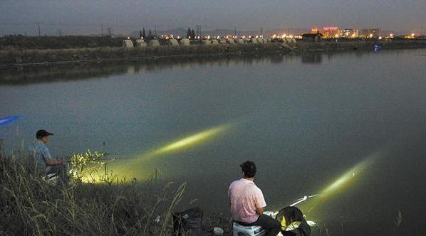 夜钓简单调漂如何选择和使用？浮漂看得清，一动就中鱼