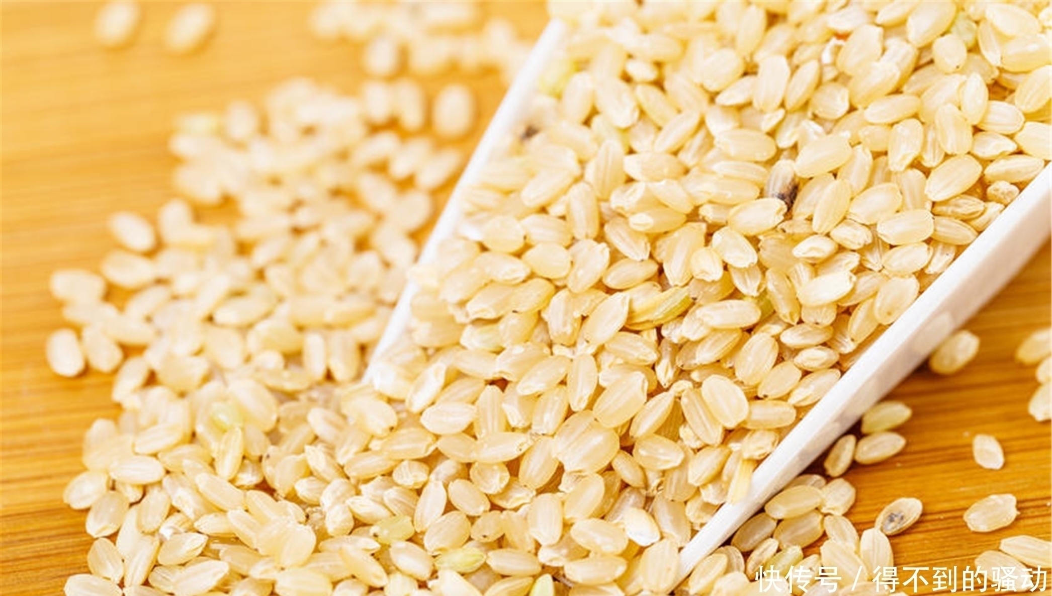 高手|别一提补脑就是吃核桃,这5种食物“脑黄金”,也是补脑高手!