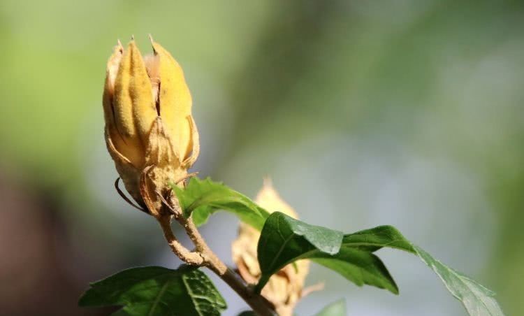 昂贵|赞美,是世上最廉价又最昂贵的奖励