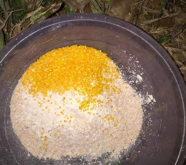 钓友|打窝了却没鱼进窝不一定是窝料不行,多半是这几个原因在拖后腿