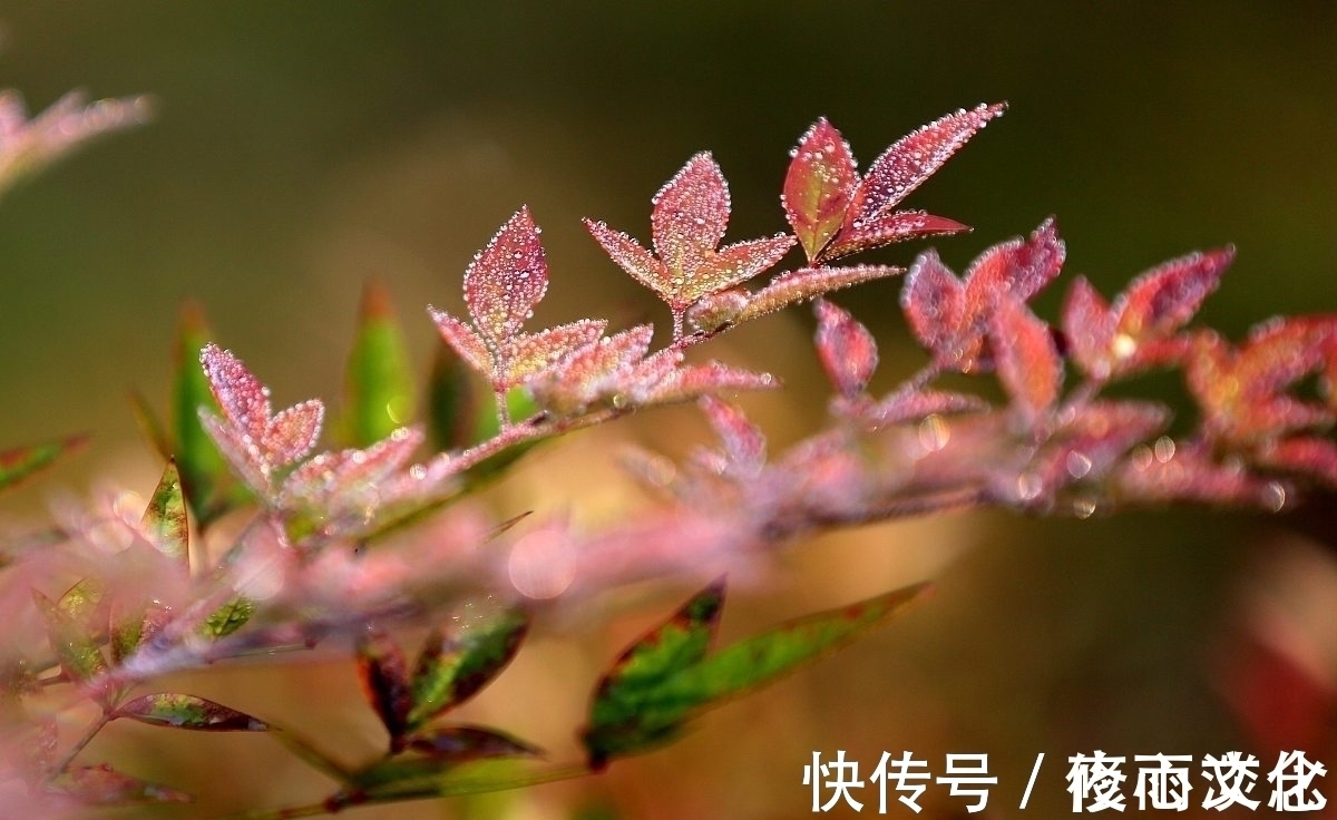 相思@一叶知秋,一念情深,谁是你眼底的惆怅,谁又是你纸上的相思