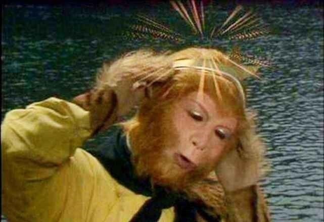 Lotus翻译成中文 Lotus翻译成中文