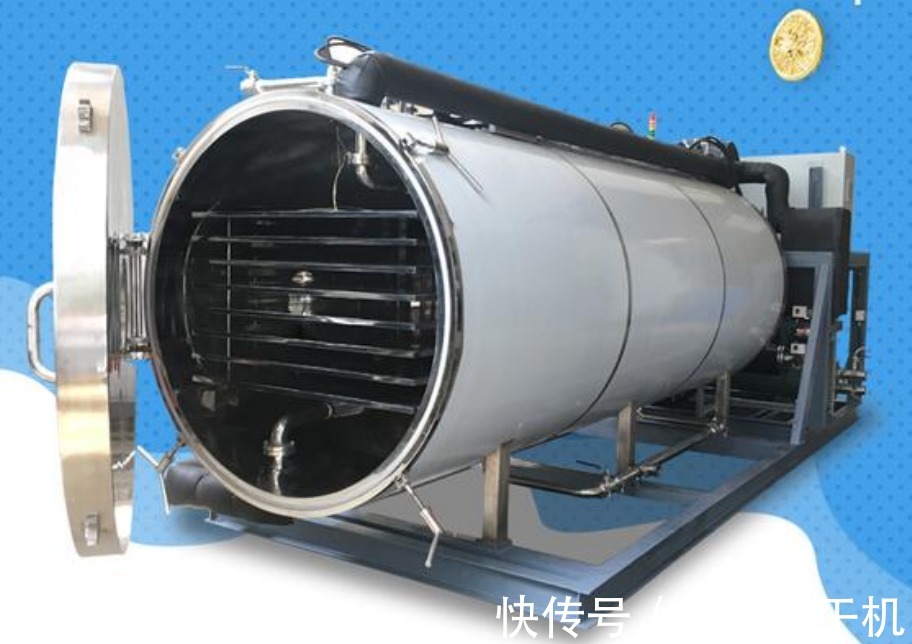 冻干机设备在新鲜中药材地黄真空冷冻干燥