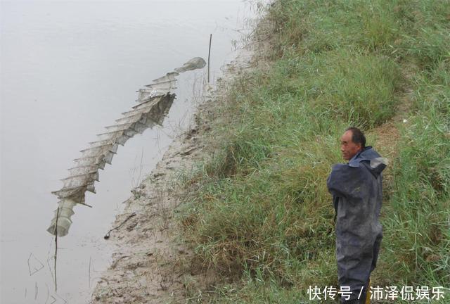 螃蟹|地笼里面放这些饵，泥鳅、螃蟹捞到手发软