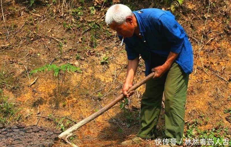 一座千年古墓,专家苦寻10年未果,老汉一言道破玄机