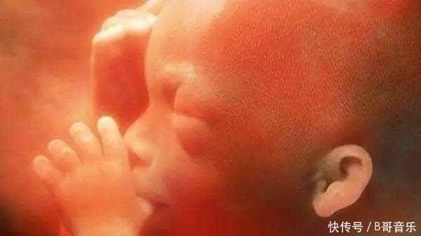 羊水里|怀胎十月,胎儿的排泄物都去哪了?看完不要想太多!