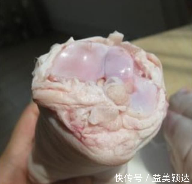 吃了30年猪蹄，才知道“前蹄”和“后蹄”差这么多，以后别买错了