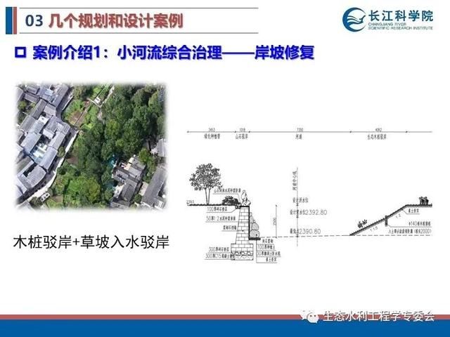河流|「专家视角」许继军：河流生态修复理念、技术与实践