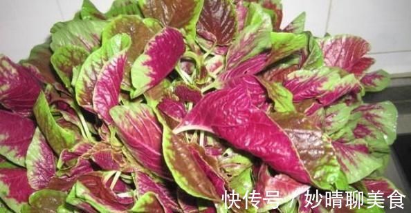 茄子|虽然吃蔬菜很好,但是孕妇应该远离这五种蔬菜子宫里的婴儿不喜欢它们