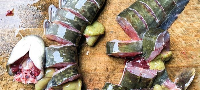 被人“误解”最多的鱼,5元1斤无人买,比甲鱼营养比鲫鱼好吃