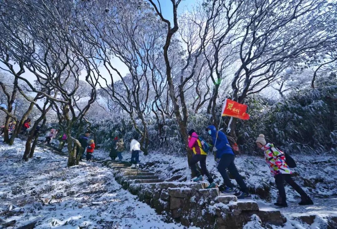 美景|华顶迎今年首场雾凇！天台山美景刷爆朋友圈！