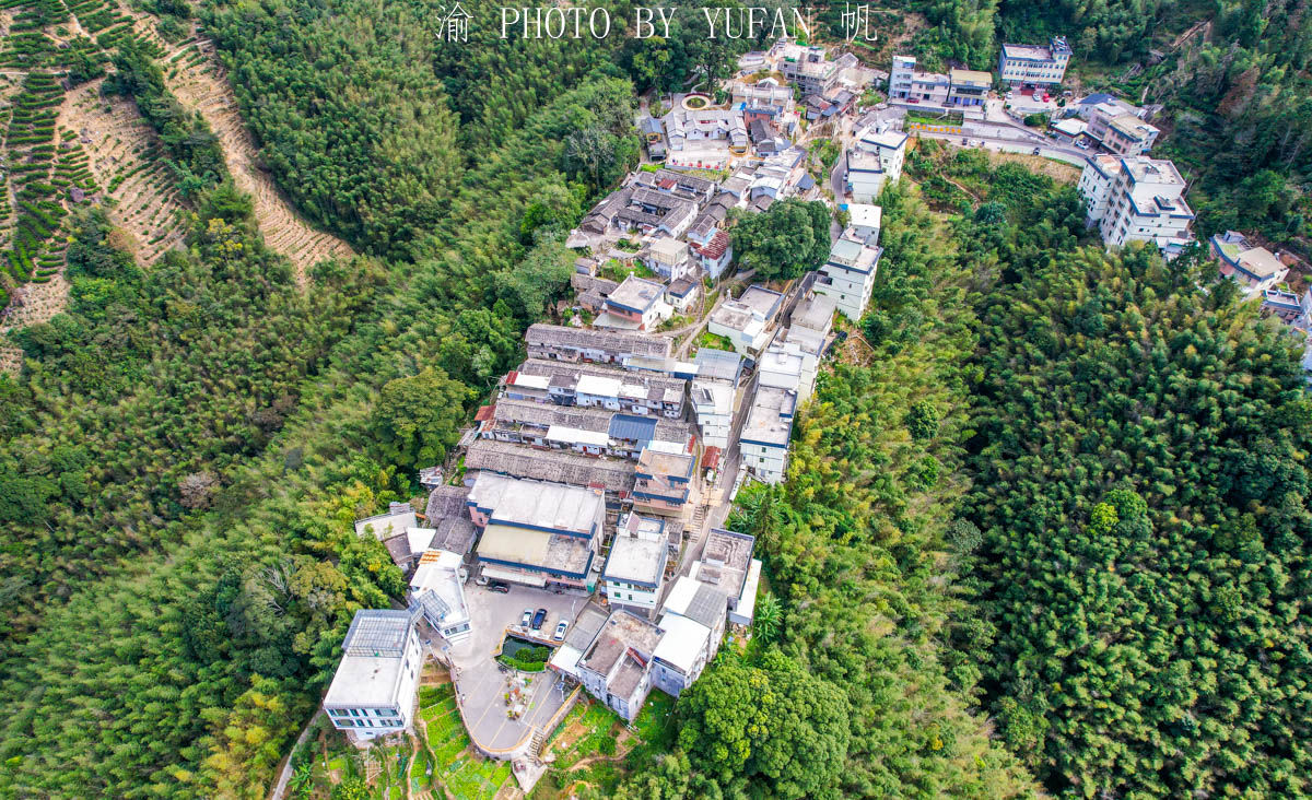 渝帆|藏在粤东大山里的世外桃源，形如山中半岛，村民因一片叶子而致富