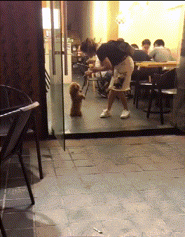 |搞笑GIF:据说看不懂的都是纯洁的好孩子