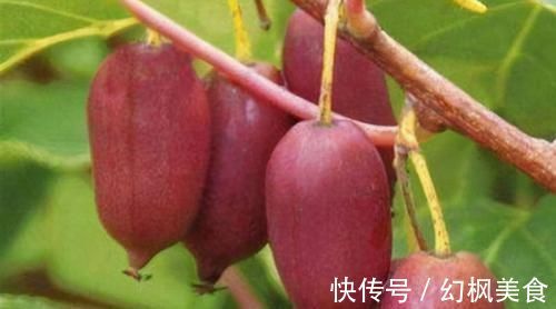 美白肌肤|女性不想老太快，常吃3种食物，延缓衰老，美白肌肤，早吃早好