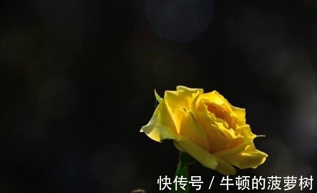 这3大生肖，今年求财得财，存款翻倍