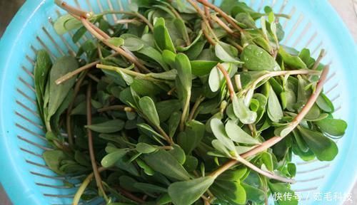 白开水|它是高血糖的“克星”,白开水里撒一把,慢慢赶走糖尿病!