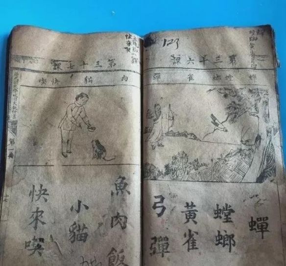 蛤蟆丸|玉兔捣的不是仙草，是蛤蟆丸！奇葩冷知识增加了