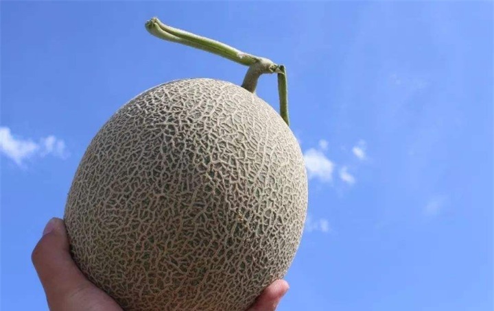 康熙给一水果取名字,却犯一个地理错误,导致水果名被叫错400年