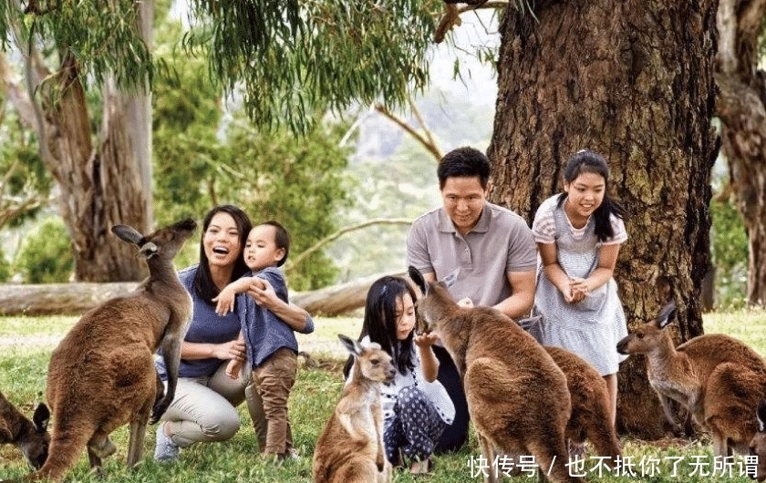 速度|孩子在学习站立时，与学习运动的顺序、和速度是不同的