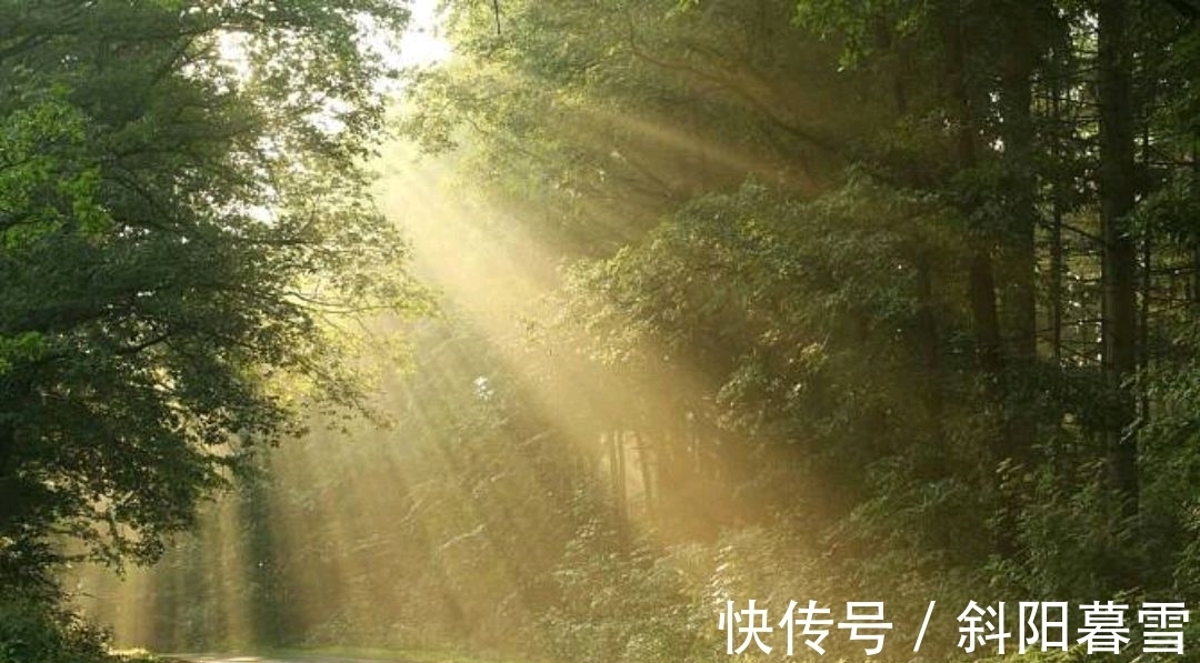 诗人&诗词:风光似水几人识,日落满林寻丹丘