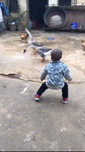 |搞笑GIF:妹子 惊不惊喜 意不意外 下次坐的时候千万要小心