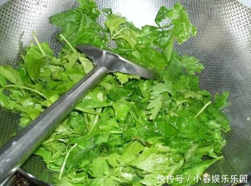  东西|芹菜叶可是个好东西，别当垃圾丢了，用这个做法吃，清新又解腻！