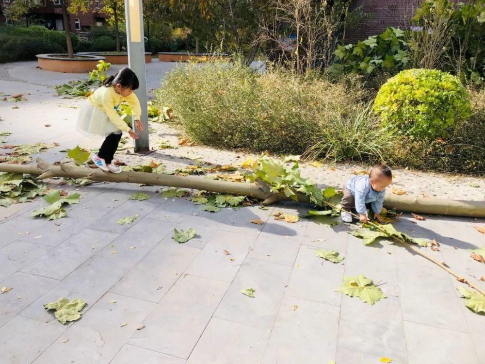 睡眠|怎么让孩子早睡?我用6年才总结出这3个方法,不看亏大了