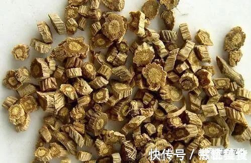 肾囊肿|人虚生百病,气虚、肺虚、脾虚,4味中药补虚不上火,身体更健康