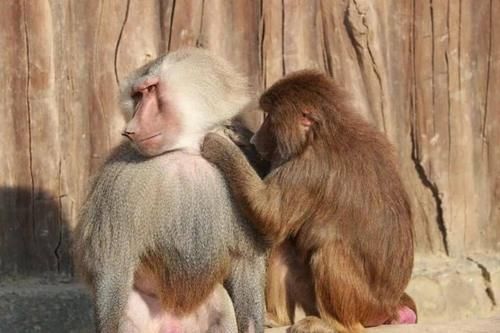 最潮流发型，你pick哪一个？