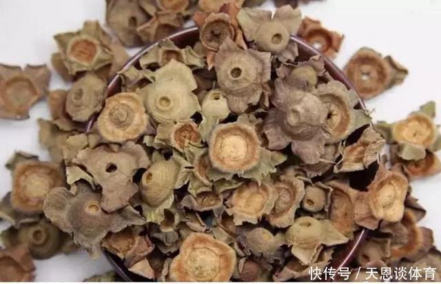 功效|吃完柿子,“柿子蒂”不要扔了,用来泡水喝,原来还有这功效