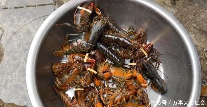 妹子上拼多多买“大虾”,12只花了300元,切开后在搞笑吧