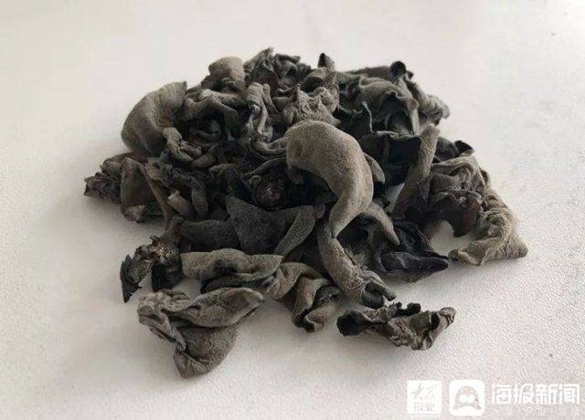 冬瓜木耳汤 痰湿体质的减肥汤|天天有中医| 痰湿