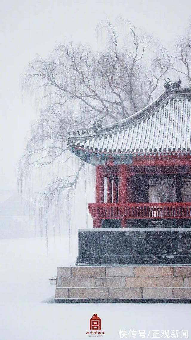 雪景|冰墩墩也来“打卡”故宫雪景了