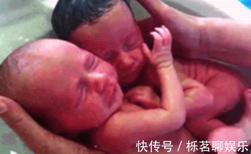 一起长大|龙凤胎洗澡时,哥哥紧紧地抱着妹妹,这种与生俱来的保护,太有爱