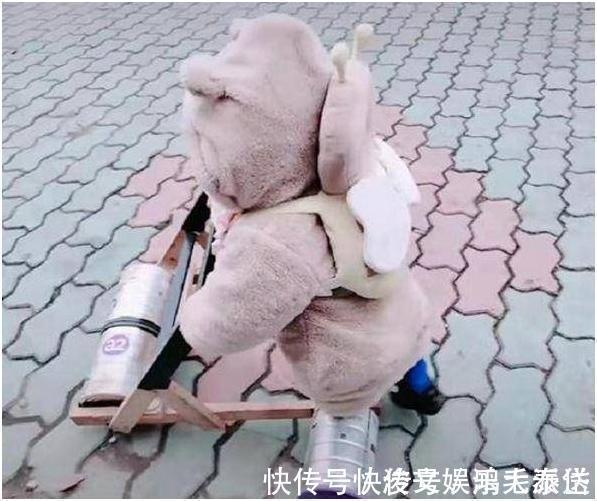 小姐姐|巧手爸爸为宝宝打造“超豪华”学步车,妈妈心疼四个轮子1000