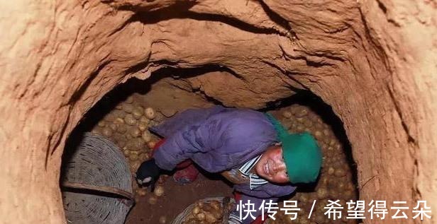 入冬囤菜,遇到6种“廉价蔬菜”别手软!速冻储存,买一次吃一月!