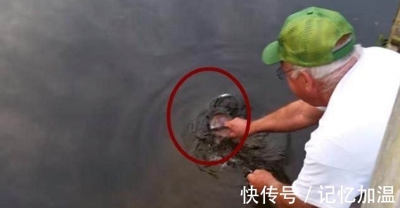 农民|农民大叔不好好钓鱼却伸手进水里,众人嘲笑他,结果却令人吃惊