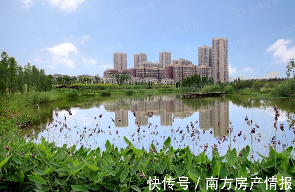 dn保利董事长宋广菊：这一生，完美！