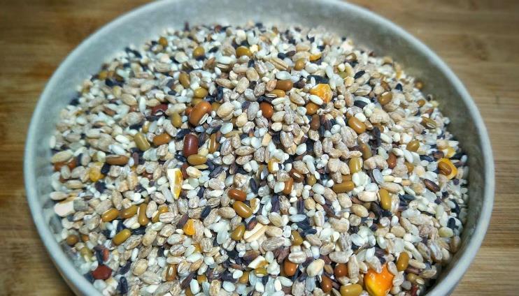 花友|河沙养花“有3大妙用”：配土透气性好、育苗和扦插成活率高