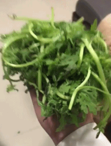 |搞笑GIF:伤害性不大 侮辱性极强的瞬间