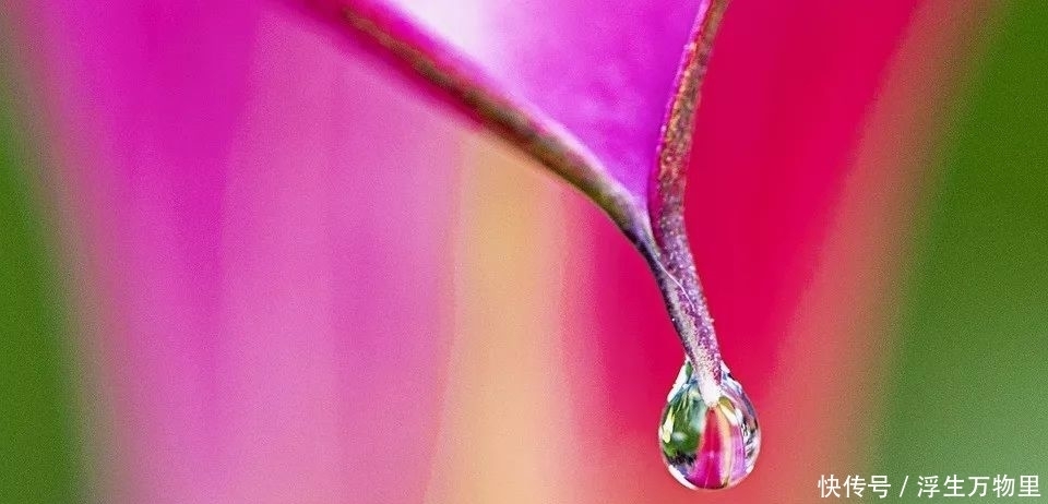 声律|声律启蒙 上平十二文01 九经对三史,菊馥对兰芬