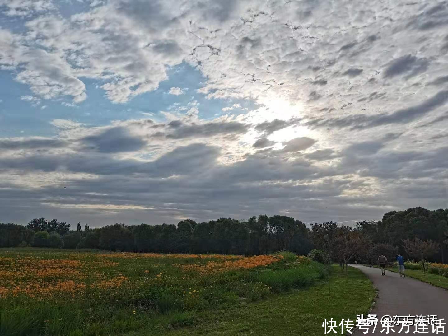 撒撒欢儿|四个月减了十公斤