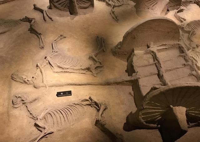 女子|殉葬制度被废，得益于一个“无用”皇帝，为保全一名女子性命