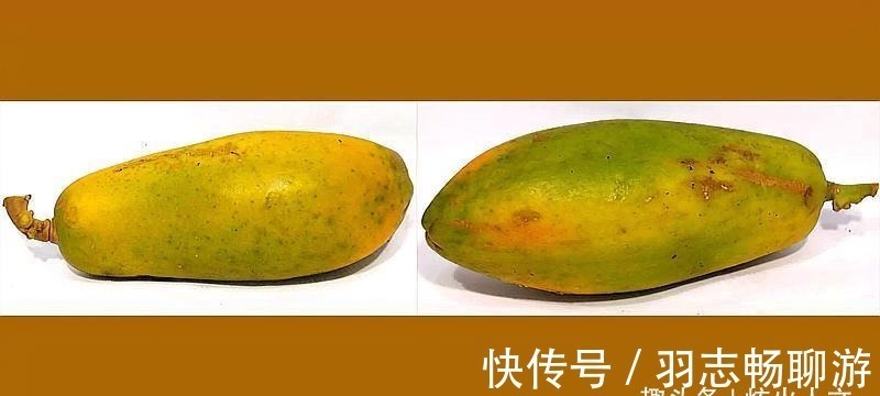 曹雪芹&红楼梦写安禄山木瓜怎么回事?曹雪芹对皇宫描写太直白