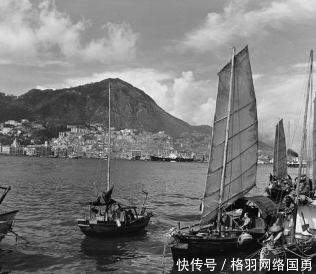 张爱玲为何离港流浪美国?后来知情者爆料:活得“像只狗”