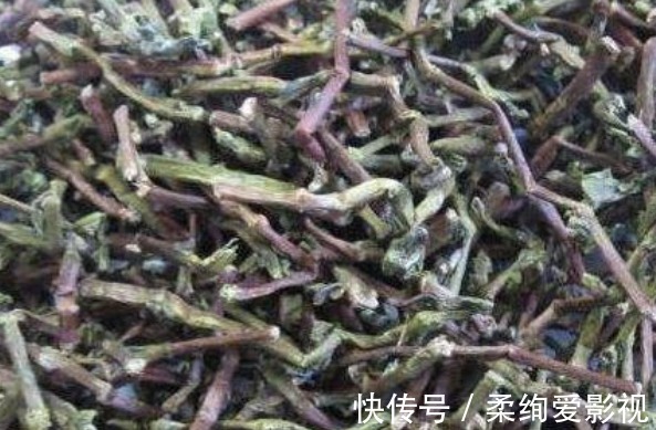 被人称为“长寿草”的野草，食用可排出体内垃圾，强健身体